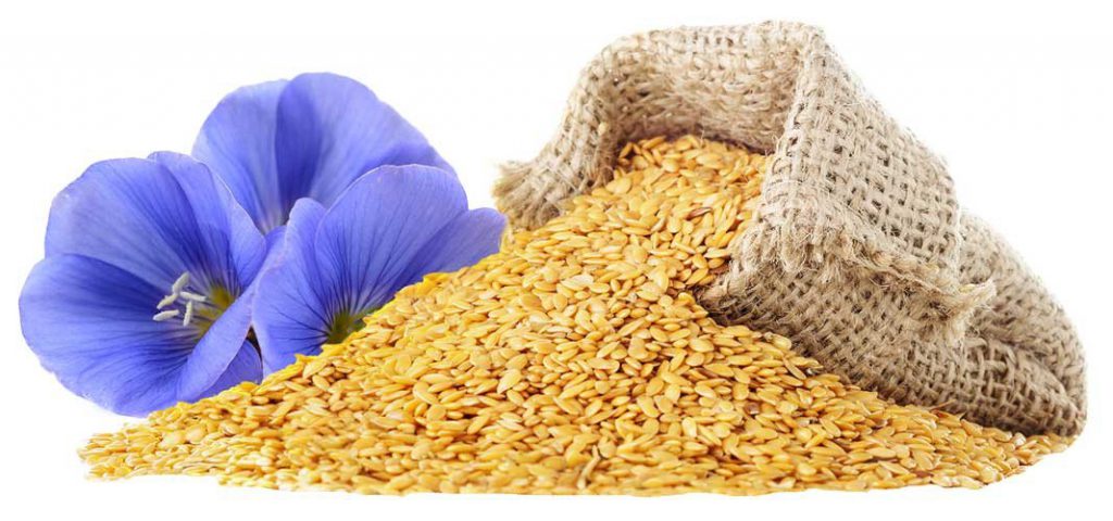 Flaxseed-spill-from-burlap-sack-and-flower