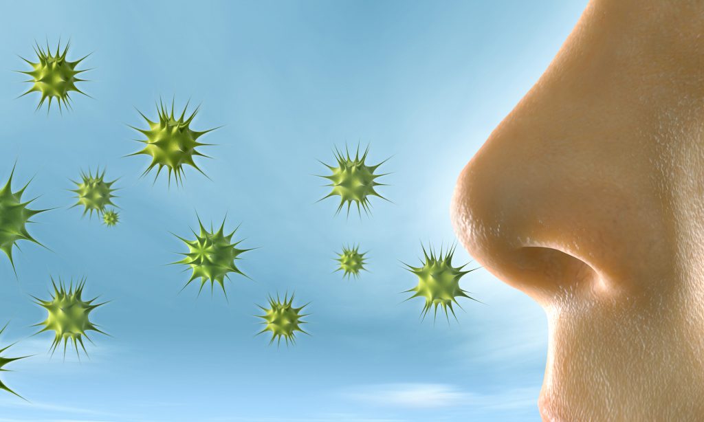 outdoor-allergies-quiz-464209991