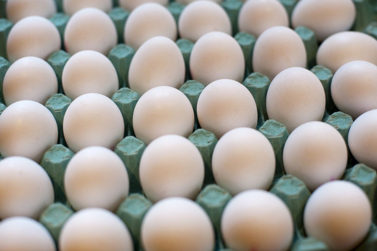 4c0f96_farm_eggs_x974