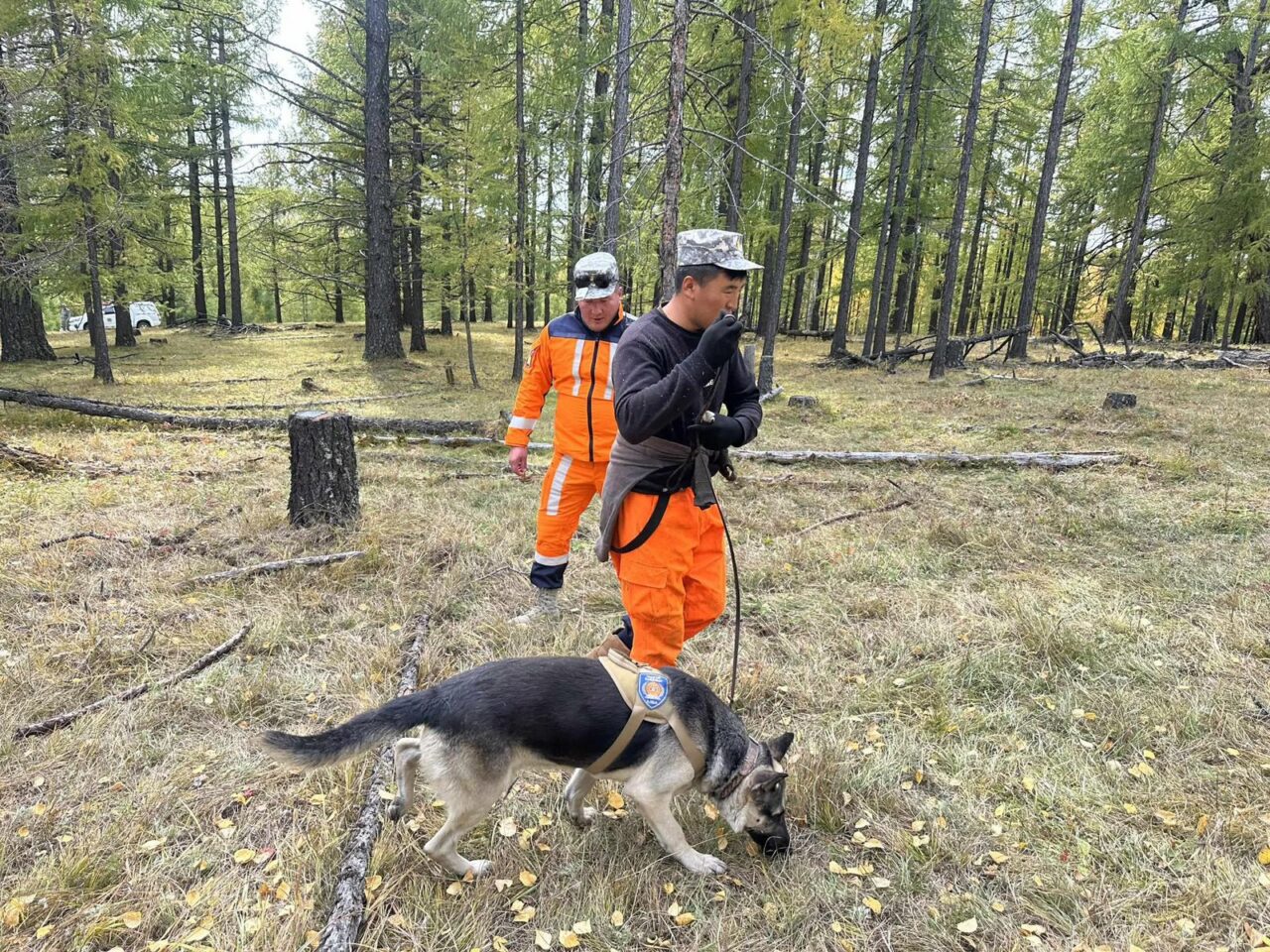 Хоёр настай хүүг эрэн хайх ажиллагаа ес дэх өдрөө, 46 настай эмэгтэйн эрэл хоёр дахь өдрөө үргэлжилж байна