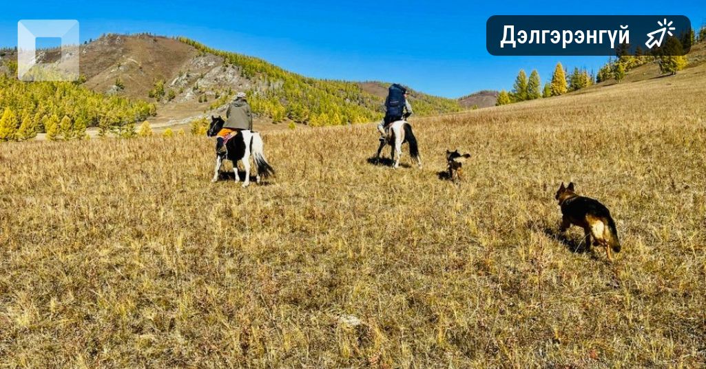 Хөвсгөл аймгийн Тариалан суманд сураггүй болсон эмэгтэйг эрэн хайх ажиллагааг ар гэрийнх нь хүсэлтээр түр зогсоожээ Хөвсгөл аймгийн Тариалан суманд сураггүй болсон эмэгтэйг эрэн хайх ажиллагааг ар гэрийнх нь хүсэлтээр түр зогсоожээ