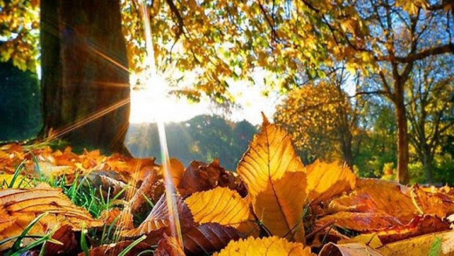 9b6890dd0ec997c505f1103b2dbdb562 9b6890dd0ec997c505f1103b2dbdb562