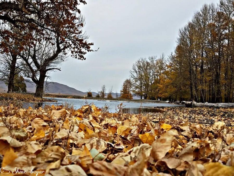 20251103-101556-file.jpeg 20251103-101556-file.jpeg