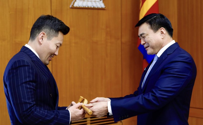 20251113-181541-file.jpeg 20251113-181541-file.jpeg