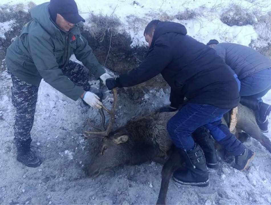 20251205-083022-file.jpeg 20251205-083022-file.jpeg