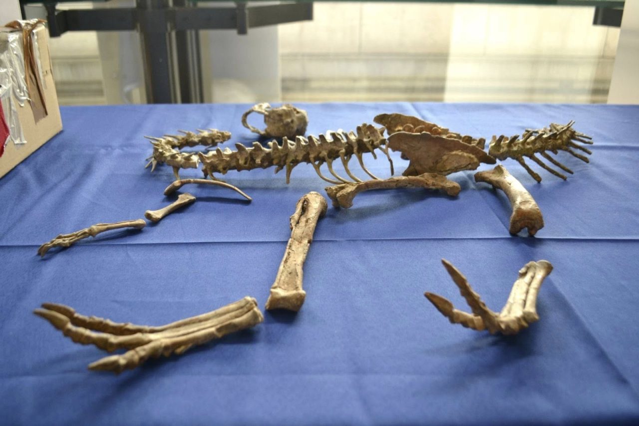 597069795_1168076042165547_7349372740585754882_n 597069795_1168076042165547_7349372740585754882_n