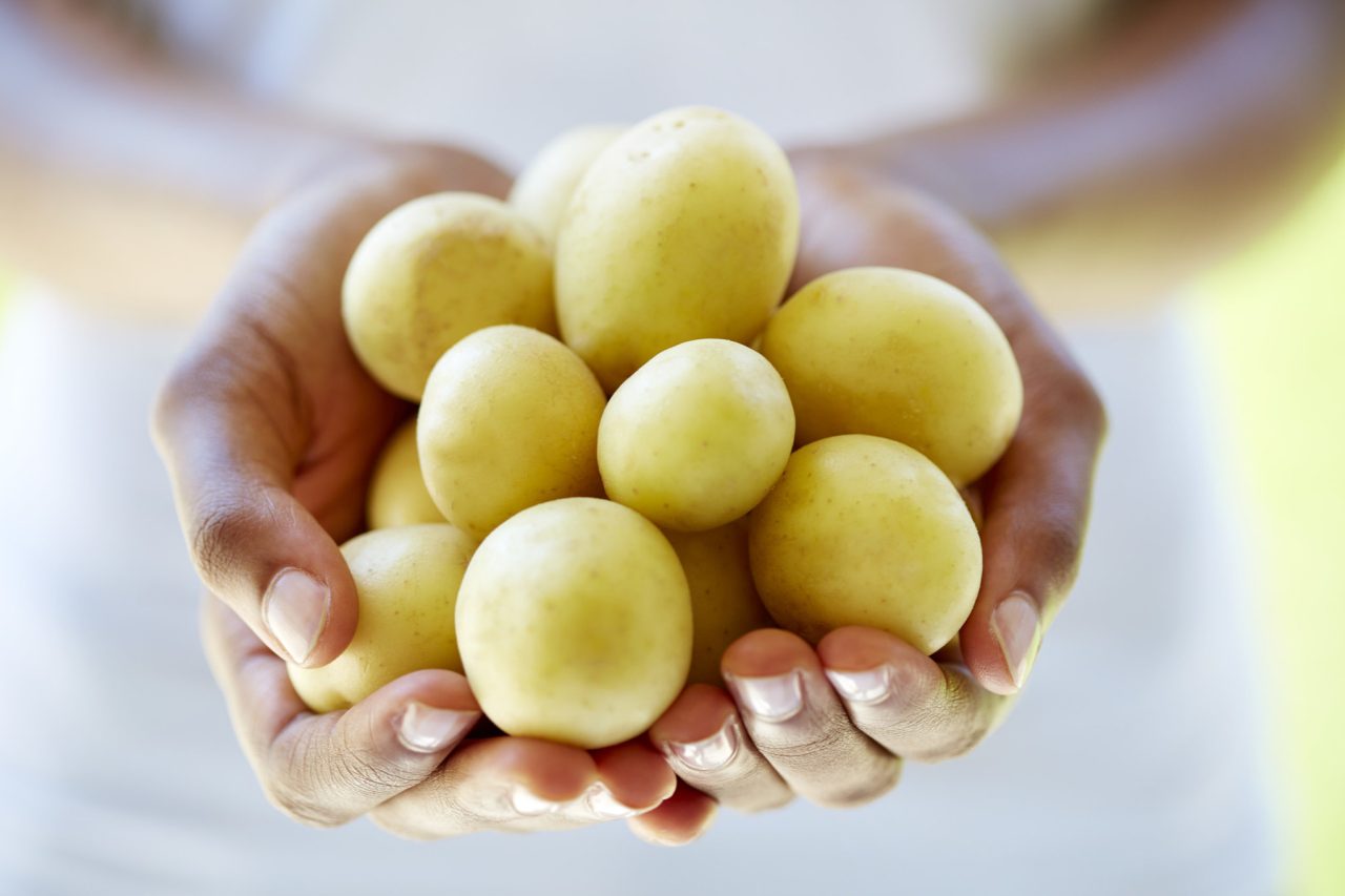 potato1