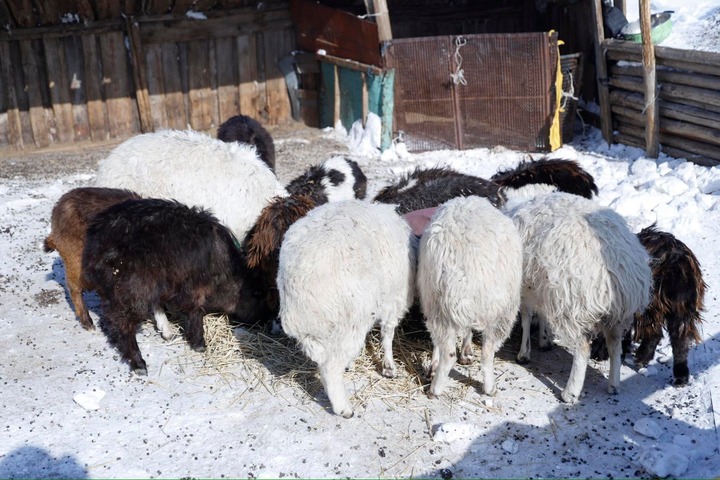 20260105-090033-file.jpeg 20260105-090033-file.jpeg