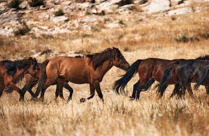 20260128-180153-file.jpeg 20260128-180153-file.jpeg