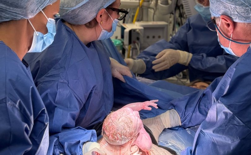 20260224-200053-file.jpeg 20260224-200053-file.jpeg