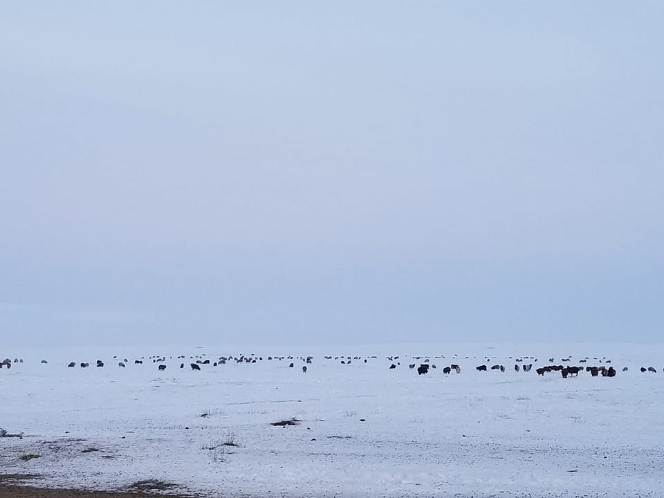 20260226-100032-file.jpeg 20260226-100032-file.jpeg