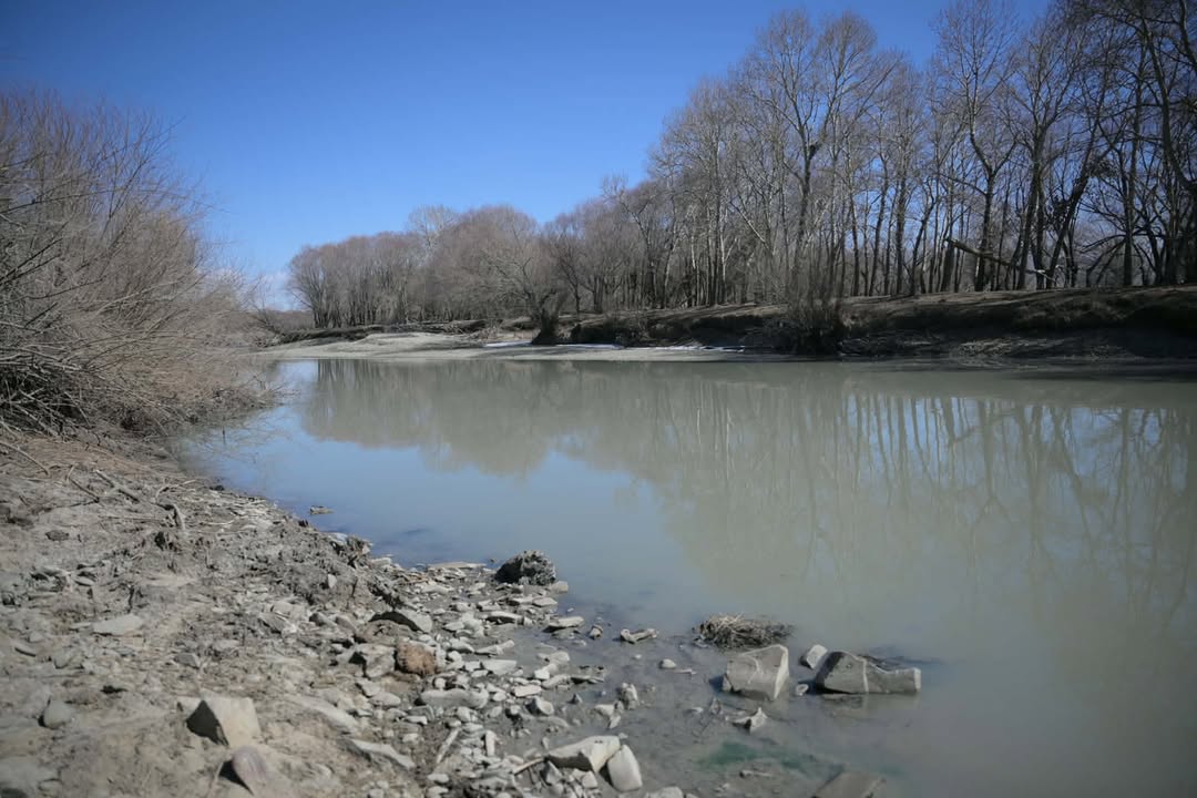 20260330-083024-file.jpeg 20260330-083024-file.jpeg