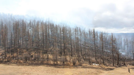 20260407-163031-file.jpeg 20260407-163031-file.jpeg