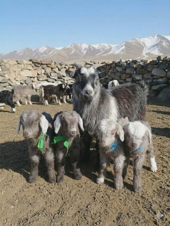 20260411-103023-file.jpeg 20260411-103023-file.jpeg