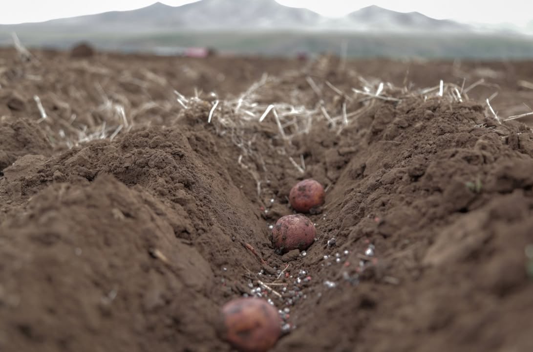 20260416-163035-file.jpeg 20260416-163035-file.jpeg