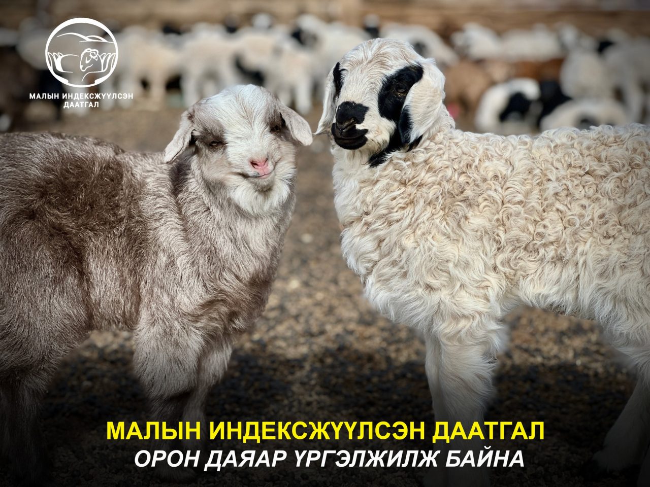 667142113_1438902091581176_4796191728306310049_n 667142113_1438902091581176_4796191728306310049_n