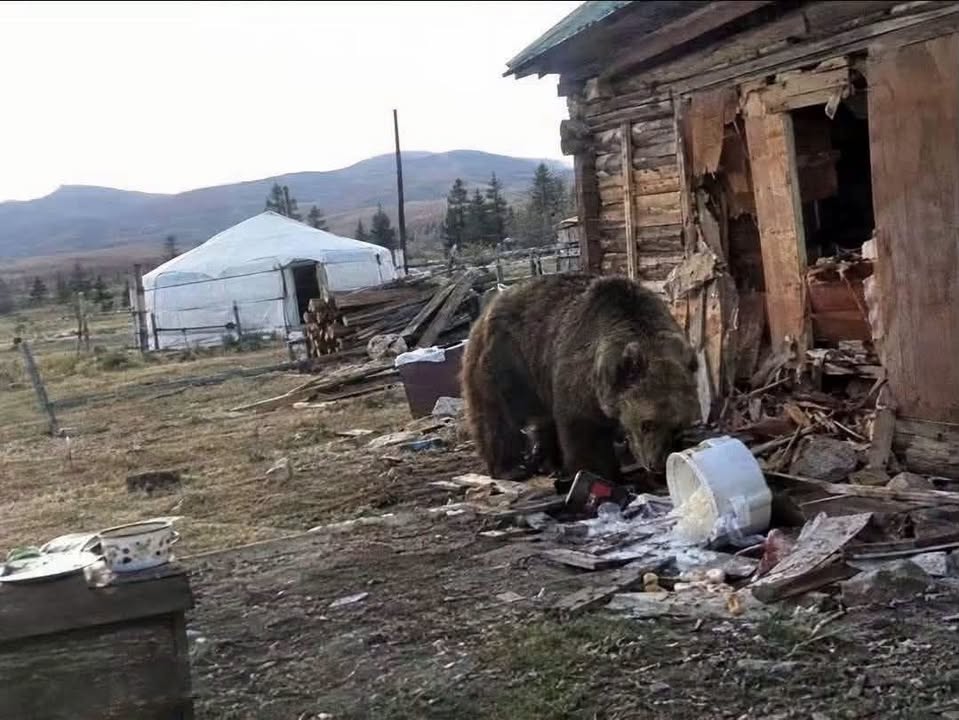 20261010-100016-file.jpeg