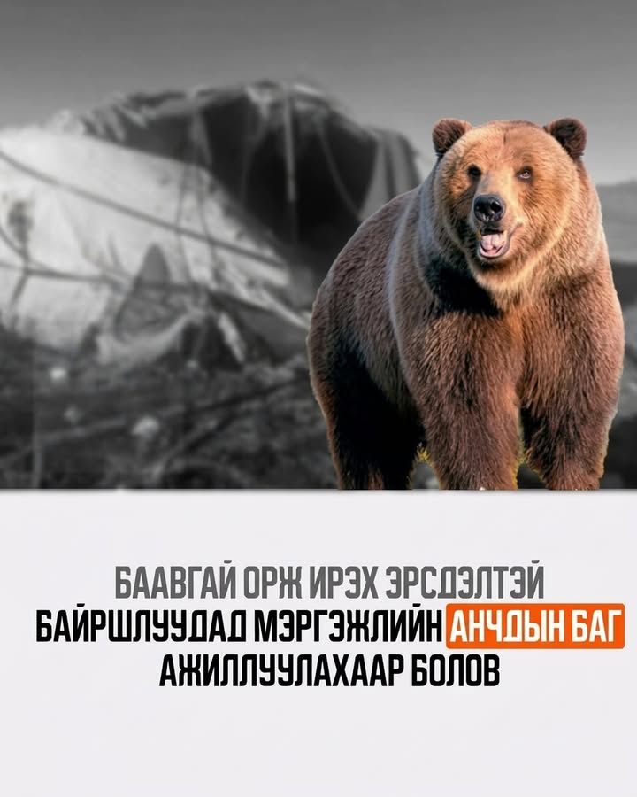 20261010-110013-file.jpeg