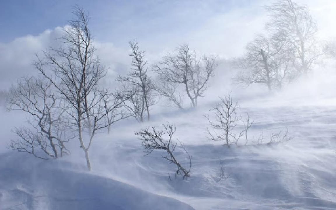20261010-130033-file.jpeg