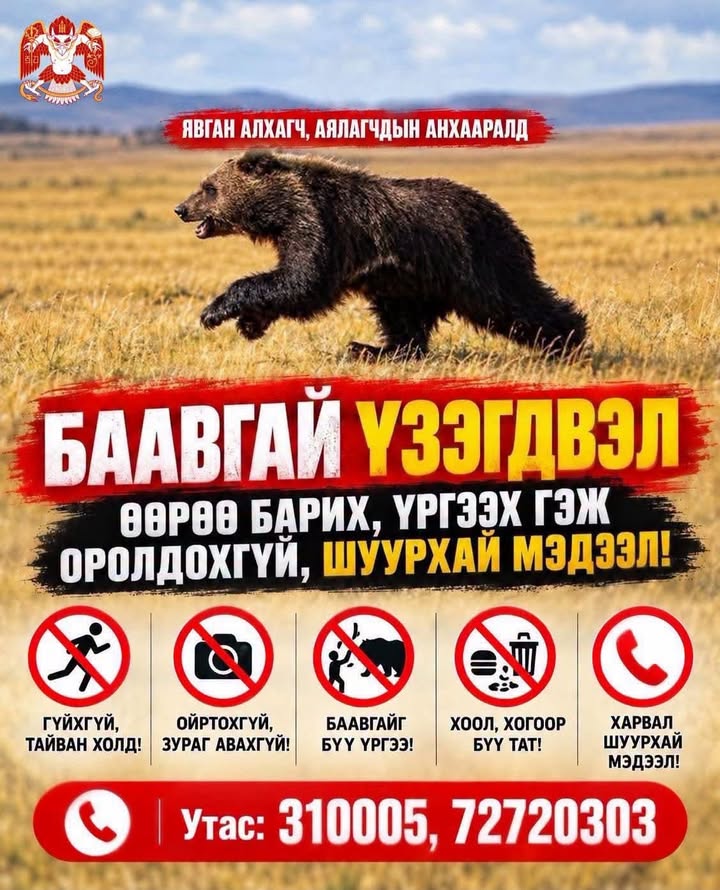 20261010-200020-file.jpeg